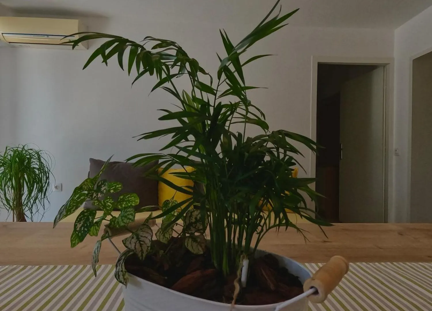 Apartman Marija Crikvenica 0*,